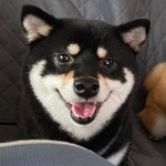 ニコニコ顔の卑弥呼ちゃん（パパさん提供、Instagramよりキャプチャ撮影）※画像はトリミングしています