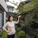 隣の空き家の木が侵入してきた…　※この画像はAdobe Fireflyで作成したイメージです