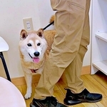病院で診察の順番がきたぱんくん。名前を呼ばれるとーー（画像提供：Greenさん）