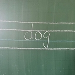 小学校の英語の授業、4本のラインを黒板に一発で書くと→子どもが歓声！　先生の100均アイデアに反響