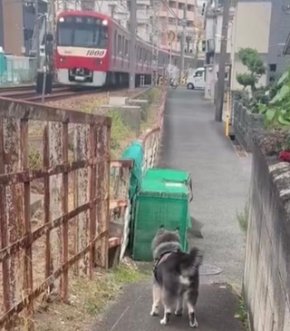 電車さんが来た！（画像提供：ebisu_0710さん）