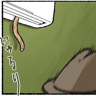 エアコンからヘビ登場（ゆうさん提供）