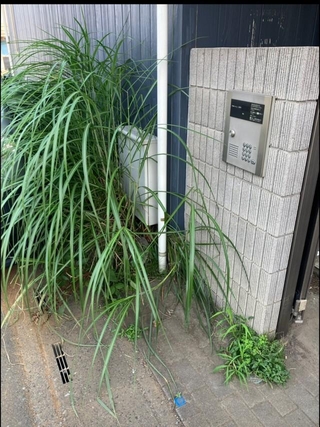 管理会社から送られてきた写真（海好き大家さん提供）