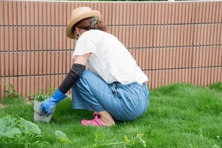 約4人に3人が夏の草刈り中に「体調不良」を経験　※画像はイメージです（tatsushi/stock.adobe.com）