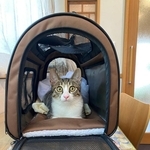 病院だよー！さあ出ておいでー