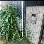 管理会社から送られてきた写真（海好き大家さん提供）