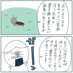 外にGを見かけた場合は外用置き餌が有効（稲（いな）さん提供）