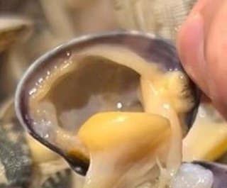 スーパーで購入したアサリの殻を開けると…／るう 非日常のアクアリウムさん（@aquariumruu）提供※画像はトリミングしています