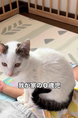 まぐろくんの生まれ変わり！？（「息子君きなこしらたまごましおまぐろ」さん提供、Instagramよりキャプチャ撮影）