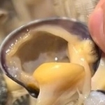 スーパーで購入したアサリの殻を開けると…／るう 非日常のアクアリウムさん（@aquariumruu）提供※画像はトリミングしています