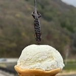 サンショウウオが刺さったソフトクリーム／投稿主さん提供＝画像をトリミングしています