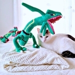 「猫よけにレックウザ置いてたのに…」警戒心ゼロで中にすっぽり　「シンデレラフィット」「余計くつろいでる」「完全に枕扱い」