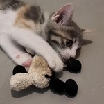 両手でぬいぐるみをしっかりキャッチします（提供：おかゆ生活さん＝画像を一部トリミングしています）