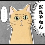 だれやねん（イゴカオリさん提供）