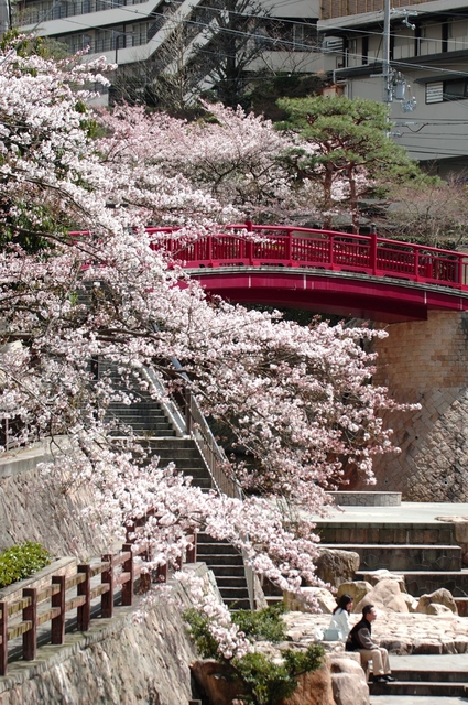 有馬には桜の名所が多く、花見ごろには街中が桜色に染まる。有馬川沿いも見ごたえのあるスポットだ（神戸観光局提供）