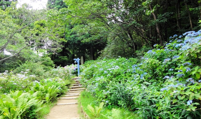 季節の草花が咲く小道を抜け、生まれ変わったミュージアムへ＝いずれも神戸市灘区六甲山町、ＲＯＫＫＯ森の音ミュージアム
