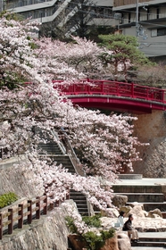 有馬には桜の名所が多く、花見ごろには街中が桜色に染まる。有馬川沿いも見ごたえのあるスポットだ（神戸観光局提供）