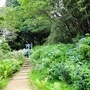 季節の草花が咲く小道を抜け、生まれ変わったミュージアムへ＝いずれも神戸市灘区六甲山町、ＲＯＫＫＯ森の音ミュージアム