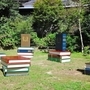 六甲高山植物園の緑の中に置かれた本のオブジェ。中に描かれた「おはなし」を読んで楽しむ作品