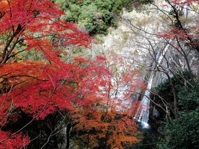 ２０１８年１２月中旬の茶屋からの眺め（店主の山口さん撮影）
