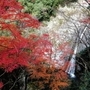 ２０１８年１２月中旬の茶屋からの眺め（店主の山口さん撮影）