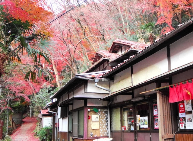 創業者は六甲山の緑化にも尽力。約２千本の紅葉を植え、それらの木々が今も周辺を彩る