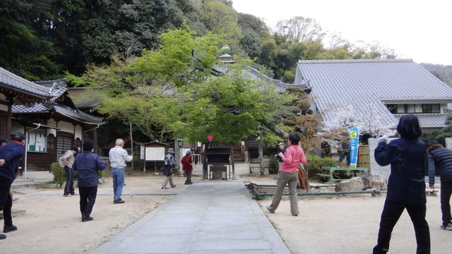 境内ではラジオ体操に加えて、独自のユニークな体操を行っている（４月）