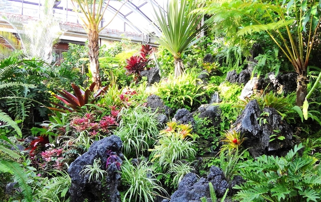 暖かな観賞温室には南国の植物が生い茂る