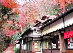創業者は六甲山の緑化にも尽力。約２千本の紅葉を植え、それらの木々が今も周辺を彩る