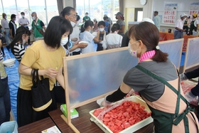一口サイズのスイカを食べ比べる参加者たち＝姫路市農業振興センター