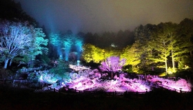 ９月２３日から始まった「六甲ミーツ・アート」の夜の部「ひかりの森-夜の芸術散歩-」