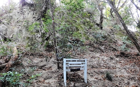 出土地は坊主山から南西へ伸びる尾根の小ピークの北側にあり、看板が立てられている