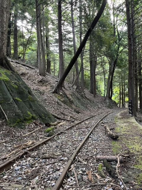 明延鉱山に残る軌道跡。周囲を包む静けさと少し湿り気のある空気が心地よい。