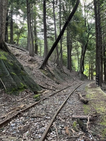明延鉱山に残る軌道跡。周囲を包む静けさと少し湿り気のある空気が心地よい。