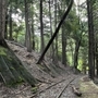 明延鉱山に残る軌道跡。周囲を包む静けさと少し湿り気のある空気が心地よい。