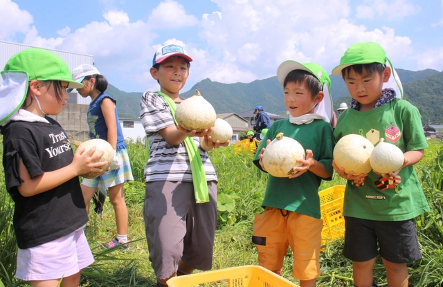 カボチャの重さを確かめながら収穫する子どもたち＝神河町中村