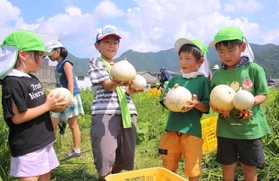 カボチャの重さを確かめながら収穫する子どもたち＝神河町中村