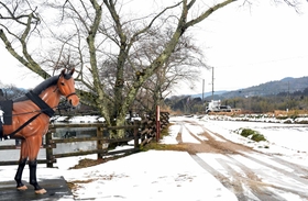 明治期の面影を残す銀の馬車道跡。今年、完成から１５０年となり、中播磨県民センターは多彩な記念イベントを開催して誘客を図る＝神河町吉冨