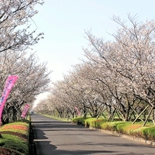 徳島白菊隊が出撃した鹿児島県の串良（くしら）基地跡は現在、平和公園として整備されている（鹿屋市串良総合支所提供）