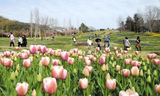 春らしい陽気に包まれた花博会場＝２１日午前、淡路市の国営明石海峡公園（撮影・三浦拓也）