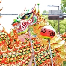 練り歩く龍の舞＝神戸市中央区（撮影・丸山桃奈）