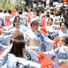神戸まつり（４）