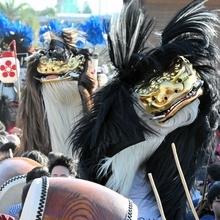 ８頭の毛獅子が列になって進む道中舞＝姫路市大塩町汐咲１、大塩天満宮（撮影・金　慶順）