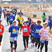 アラカルト（２）