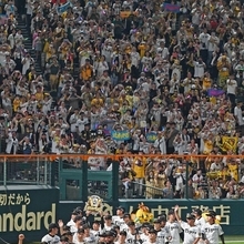 阪神-広島（４）