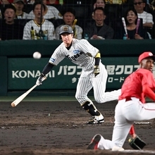 阪神-広島（１３）