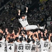 阪神-広島（１）