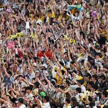 阪神-広島（１２）