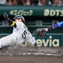 阪神-ＤｅＮＡ　８回１死一、二塁、佐藤輝の同点適時打で生還する二走の近本＝西宮市の甲子園球場（撮影・丸山桃奈