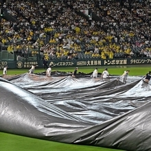 激しい雨により試合は一時中断。雨がやみ、グラウンドを覆うシートをしまう甲子園球場のスタッフら＝１６日夜、甲子園球場（撮影・風斗雅博）